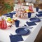 Exquisite 350 Pcs Plastic Plates for Party – Disposable Plates Set – 50 Each of 9" Dinner Plates, 7" Dessert Plates, Plastic Cups, Napkins & Plastic Cutlery – Plastic Dinnerware by Party Solids